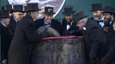 A screengrab of a video by the tourism website of the state of Pennsylvania shows the groundhog Punxsutawney Phil being watched for signs of his shadow.